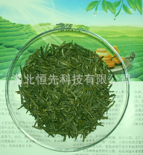 英山云霧茶.jpg