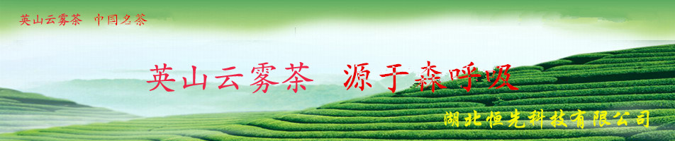 阿里站主題圖.jpg